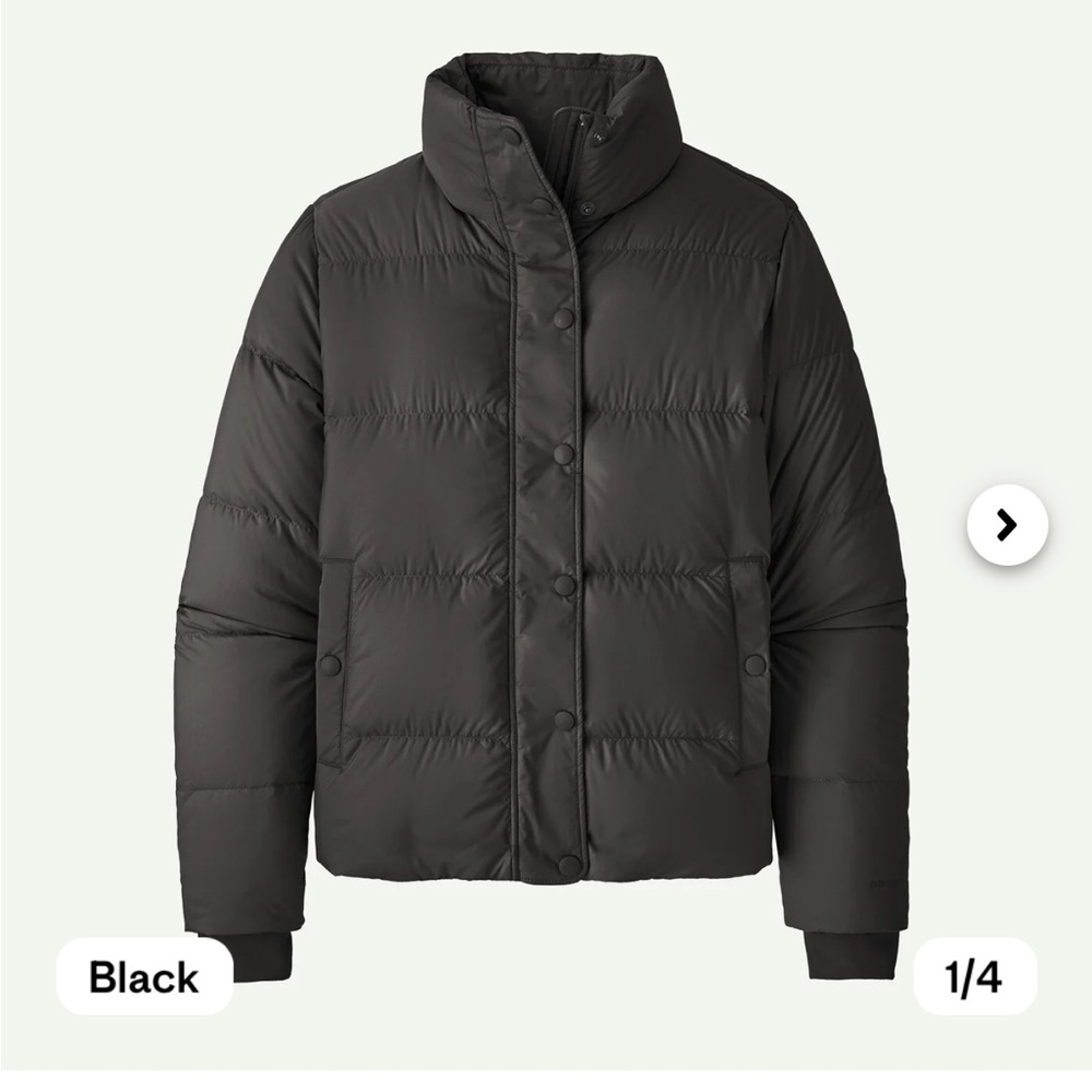 Patagonia Silent Down Jacket